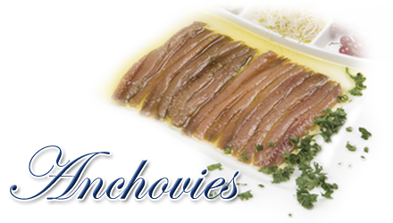 anchoa