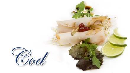 bacalao